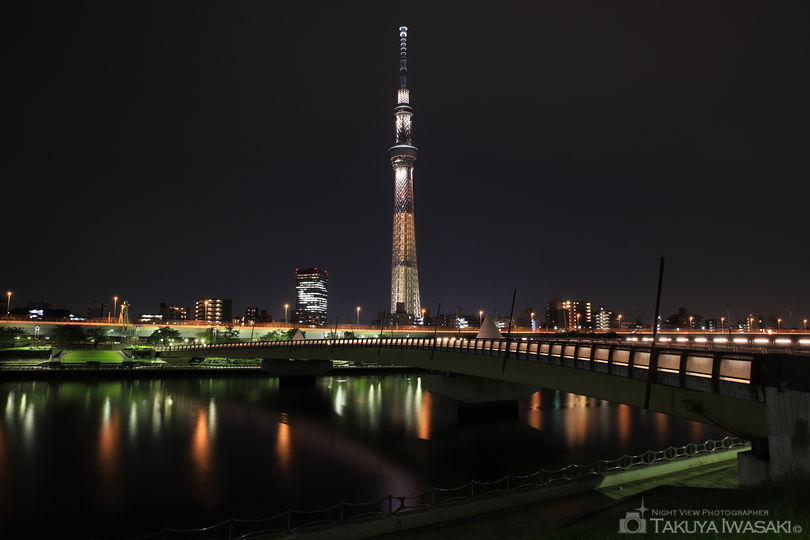 桜橋の夜景スポット写真（2）