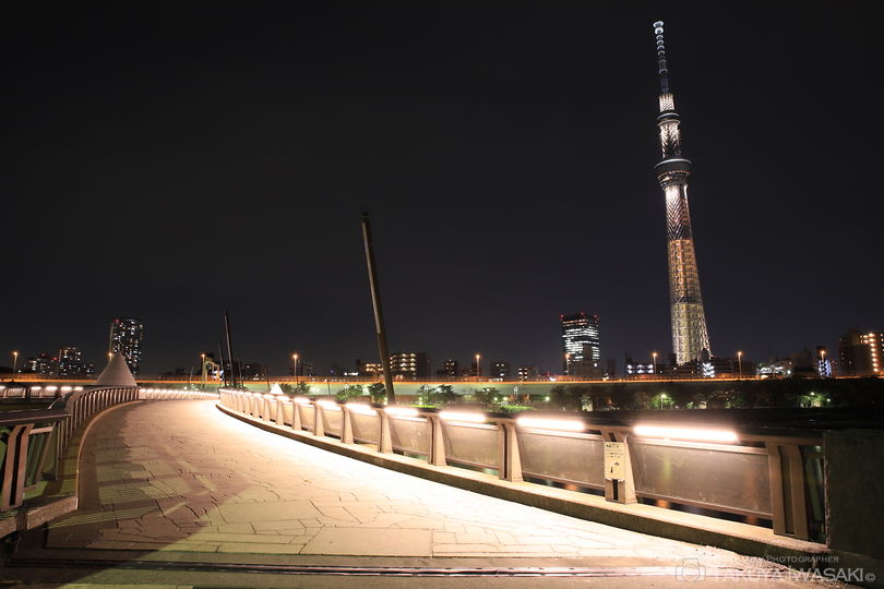 桜橋の夜景スポット写真（3）