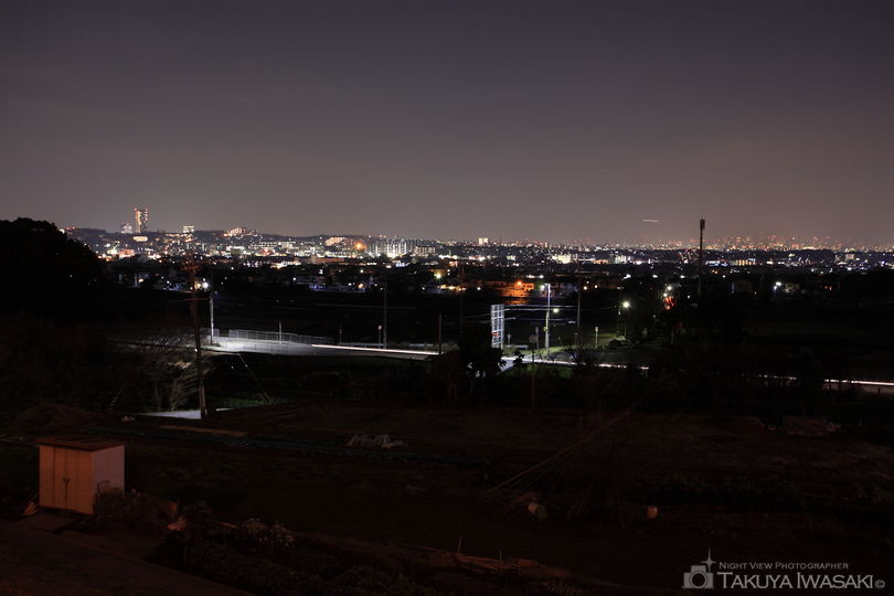 中池公園の夜景スポット写真（1）