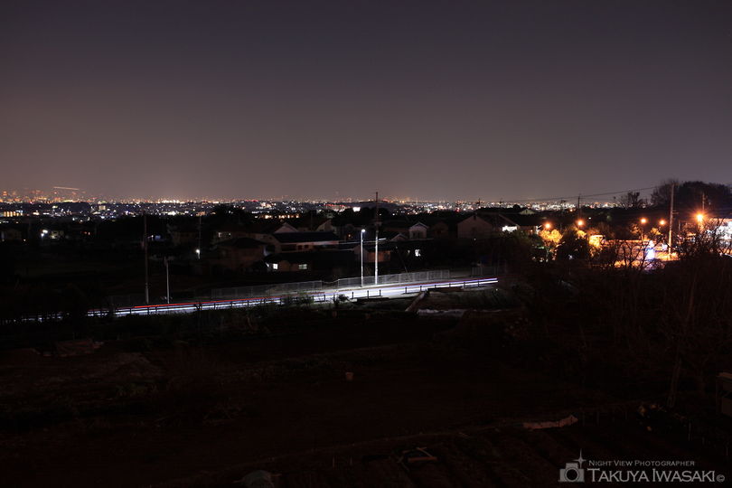 中池公園の夜景スポット写真（2）