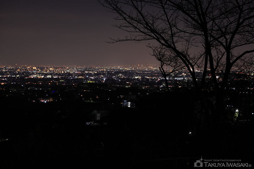 長楽寺付近の夜景スポット写真（2）