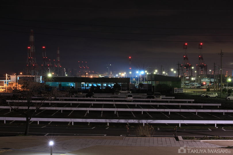 金城埠頭地区緑地の夜景スポット写真（3）