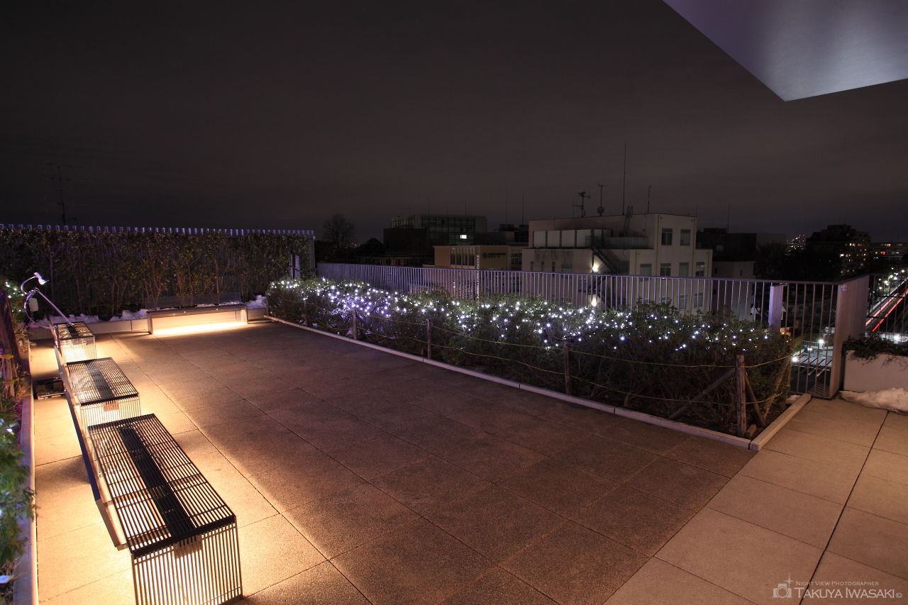 成城コルティ 屋上庭園の夜景スポット写真（2）