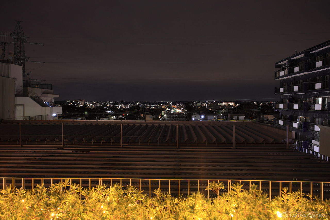 成城コルティ 屋上庭園の夜景スポット写真（3）