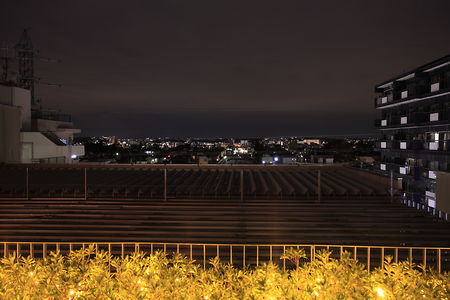 成城コルティ 屋上庭園の夜景スポット写真（3）class=