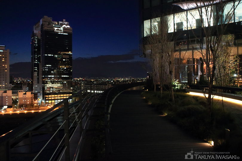 グランフロント大阪 南館テラスガーデンの夜景スポット写真（4）