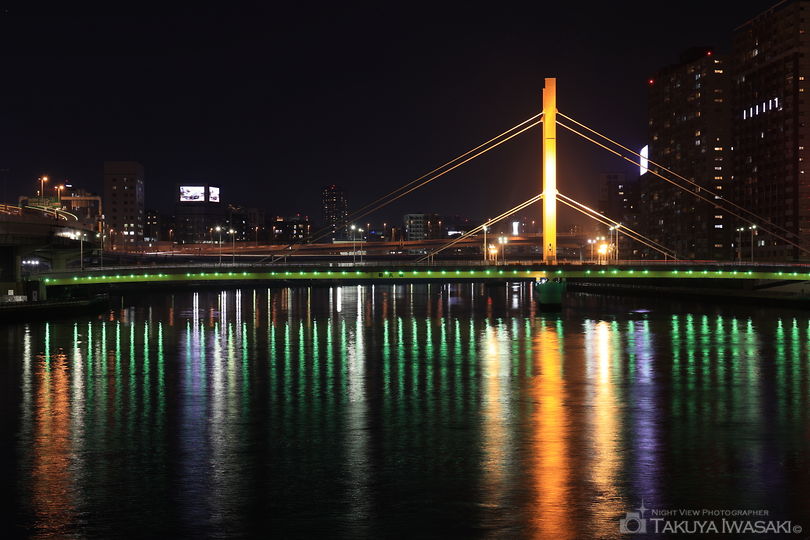 隅田川テラス・新大橋付近の夜景スポット写真（1）