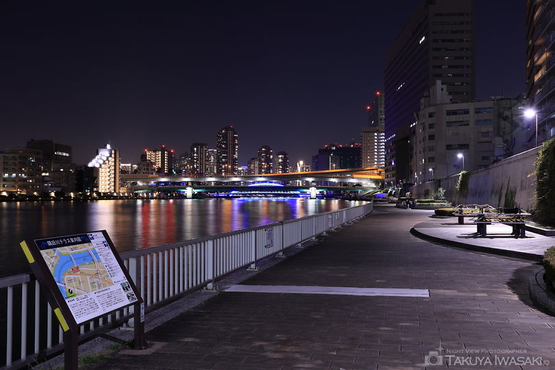 隅田川テラス・清洲橋西側の夜景スポット写真（3）