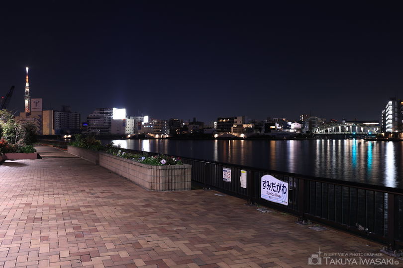 隅田川テラス・清洲橋西側の夜景スポット写真（6）