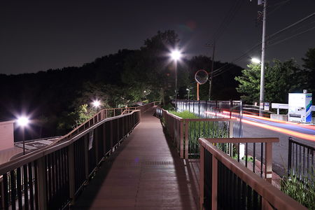 都立桜ヶ丘公園 遊びの広場の夜景スポット写真（3）class=