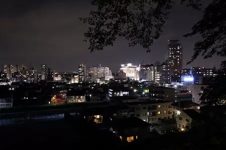 いろは坂桜公園の夜景