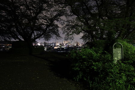 いろは坂桜公園の夜景スポット写真（2）class=