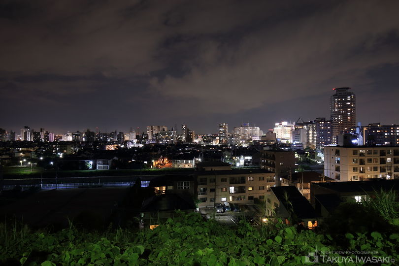 いろは坂桜公園の夜景スポット写真（3）