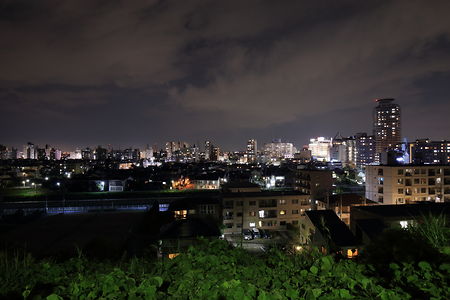 いろは坂桜公園の夜景スポット写真（3）class=