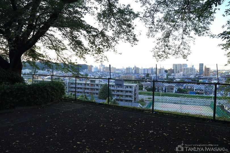 いろは坂桜公園の夜景スポット写真（5）