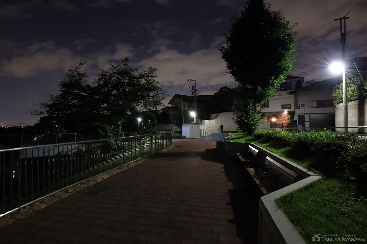 とりで公園の夜景スポット写真（2）