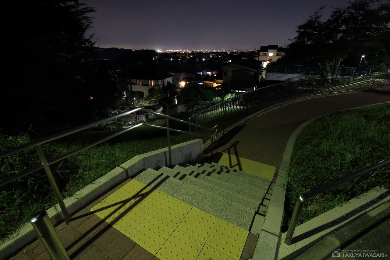 とりで公園の夜景スポット写真（3）