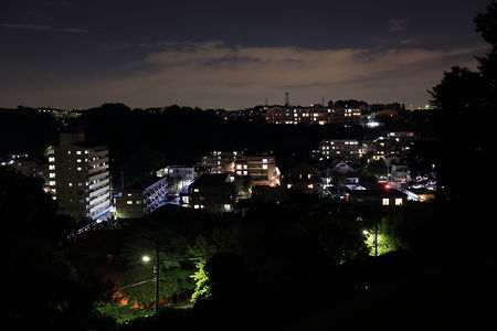 若葉台・稲城駅方面の夜景