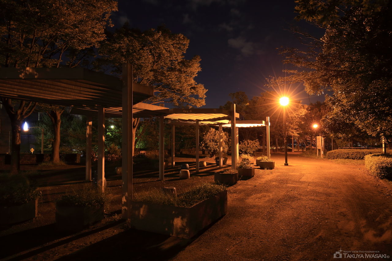 諏訪北公園の夜景スポット写真（4）