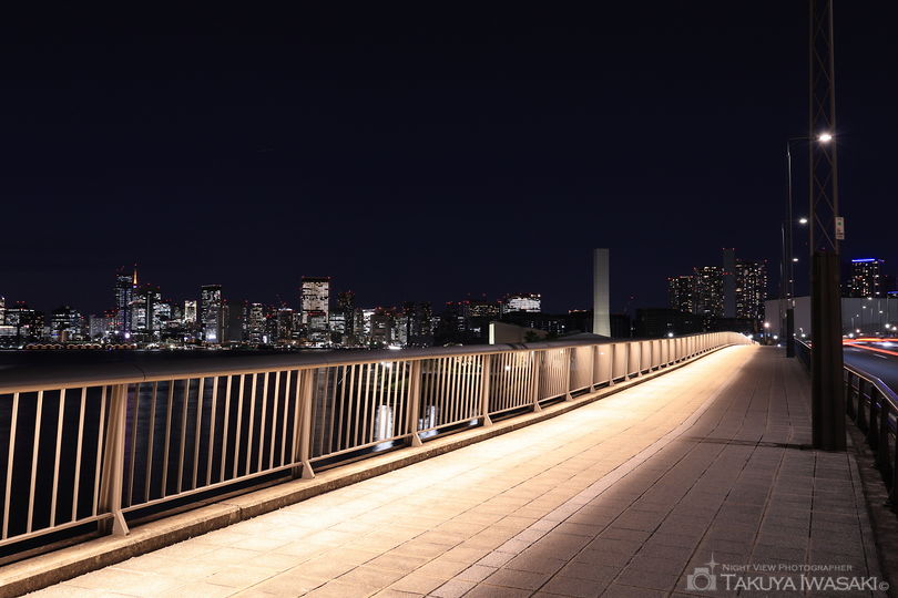富士見橋の夜景スポット写真（5）