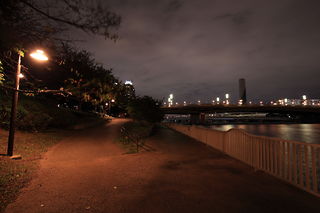 水の広場公園 西エリアの夜景スポット写真（4）class=