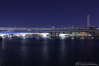 春海橋公園 ガスの科学館前の夜景スポット写真（3）class=