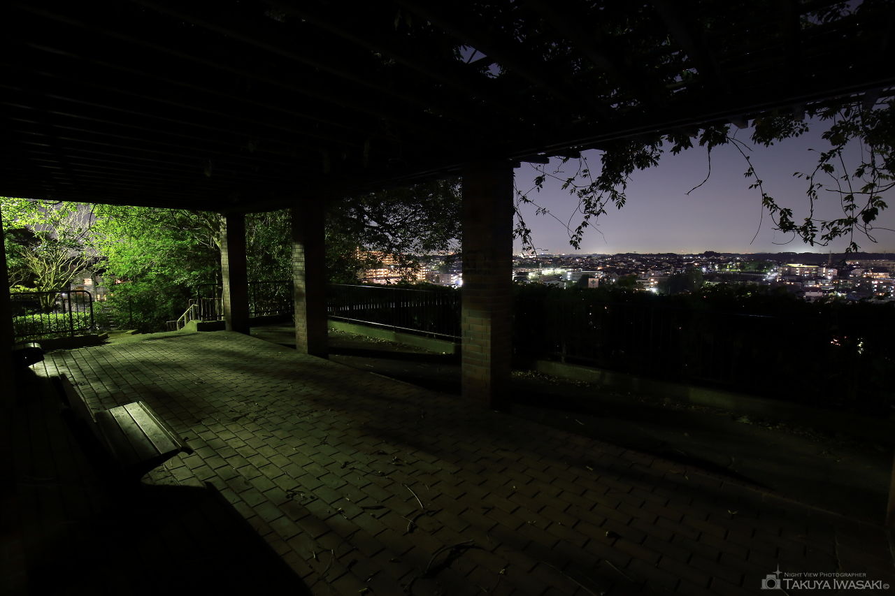 たちばな台公園の夜景スポット写真（4）