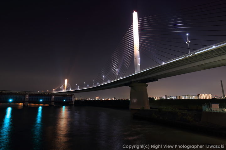 上平井橋の夜景スポット写真（1）