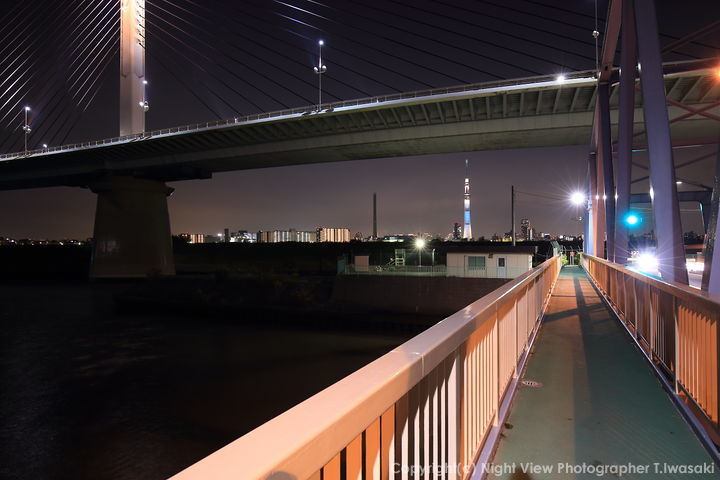 上平井橋の夜景スポット写真（2）