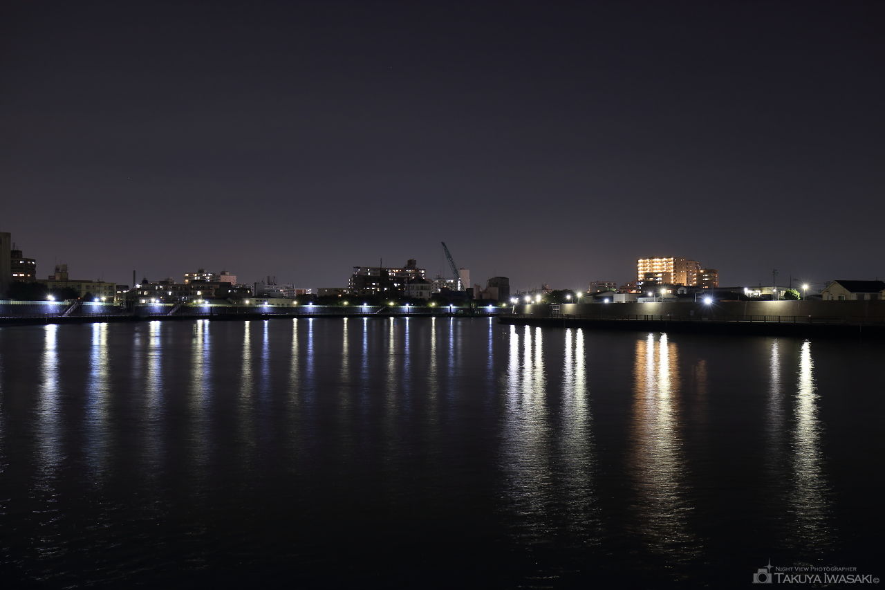 中川右岸緑道公園の夜景スポット写真（1）