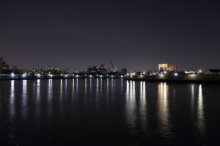中川右岸緑道公園の夜景スポット写真（1）class=