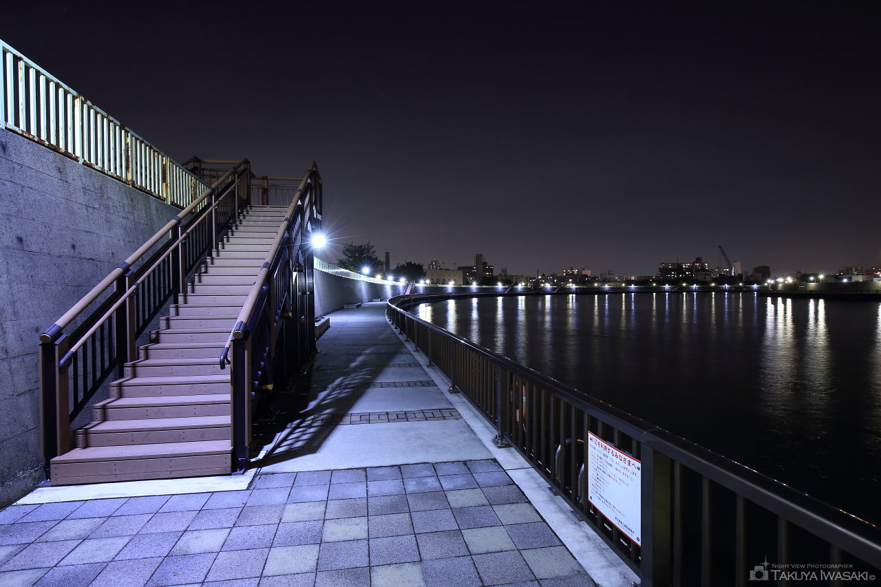中川右岸緑道公園の夜景スポット写真（3）
