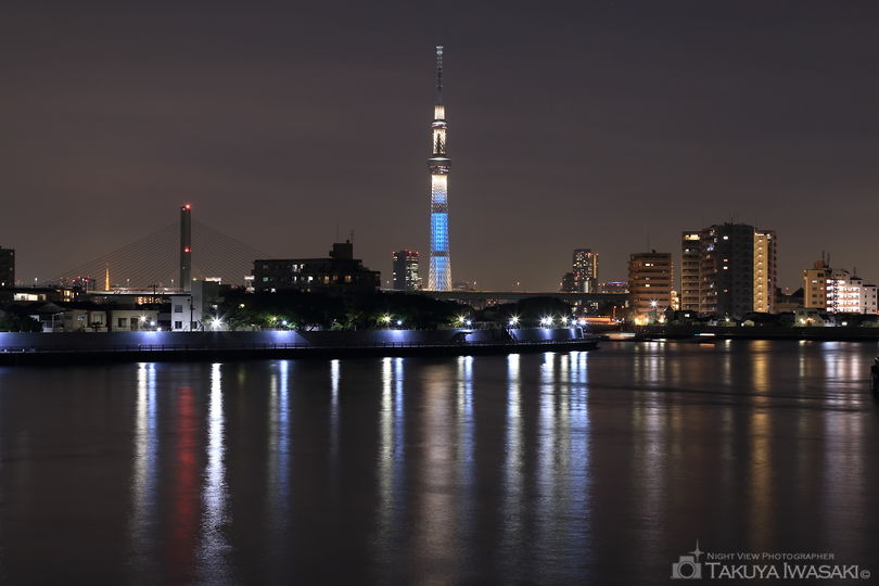 中川奥戸展望デッキの夜景スポット写真（1）