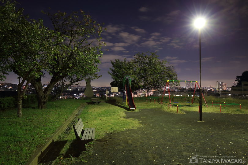 高島山公園の夜景スポット写真（2）