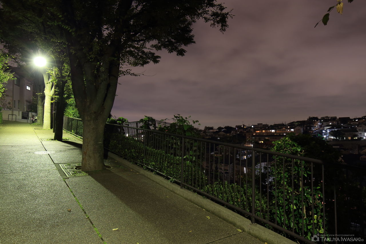 菊名三丁目公園の夜景スポット写真（2）