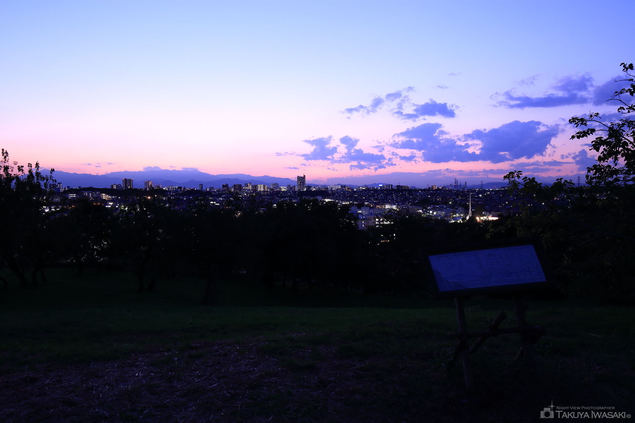 成瀬尾根緑地の夜景スポット写真（1）