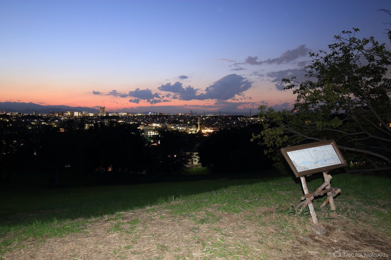 成瀬尾根緑地の夜景スポット写真（3）