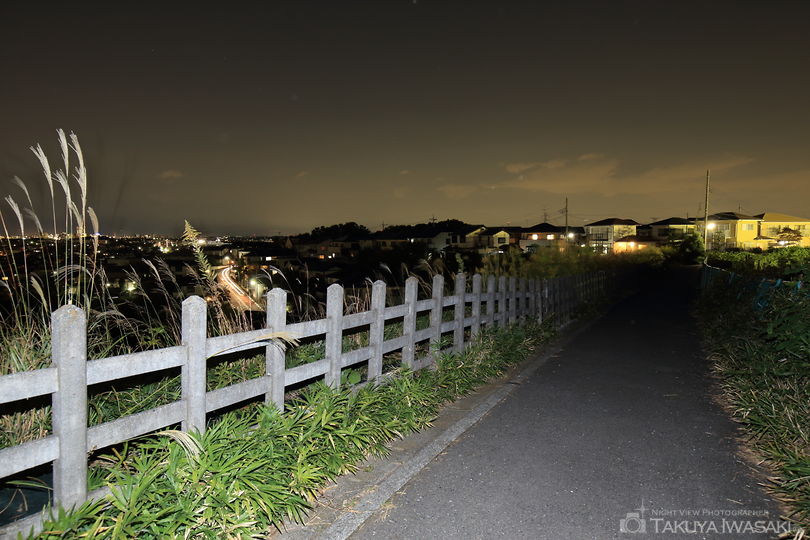 つくし野馬の背の夜景スポット写真（3）