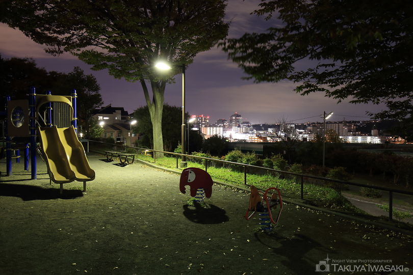 峰岡町三丁目公園の夜景スポット写真（3）