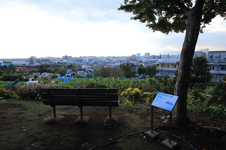 ベンチと町田・大和方面の眺め