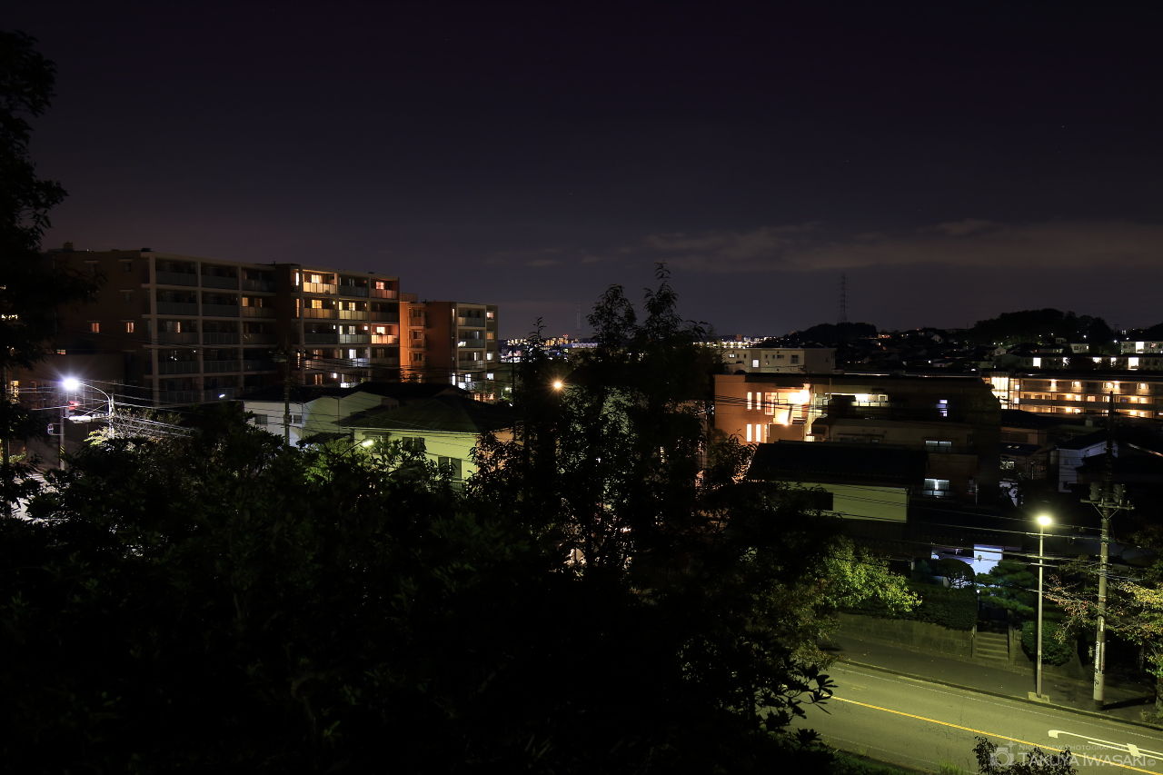 桜台公園の夜景スポット写真（1）