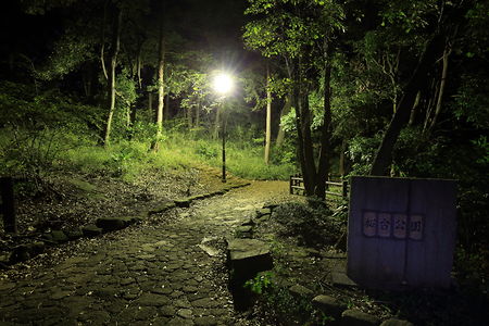 桜台公園の夜景スポット写真（3）class=