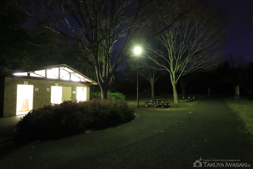 太尾見晴らしの丘公園の夜景スポット写真（5）