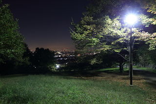 日吉公園の夜景スポット写真（2）class=