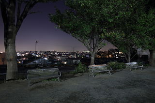 ベンチと日吉駅方面の夜景