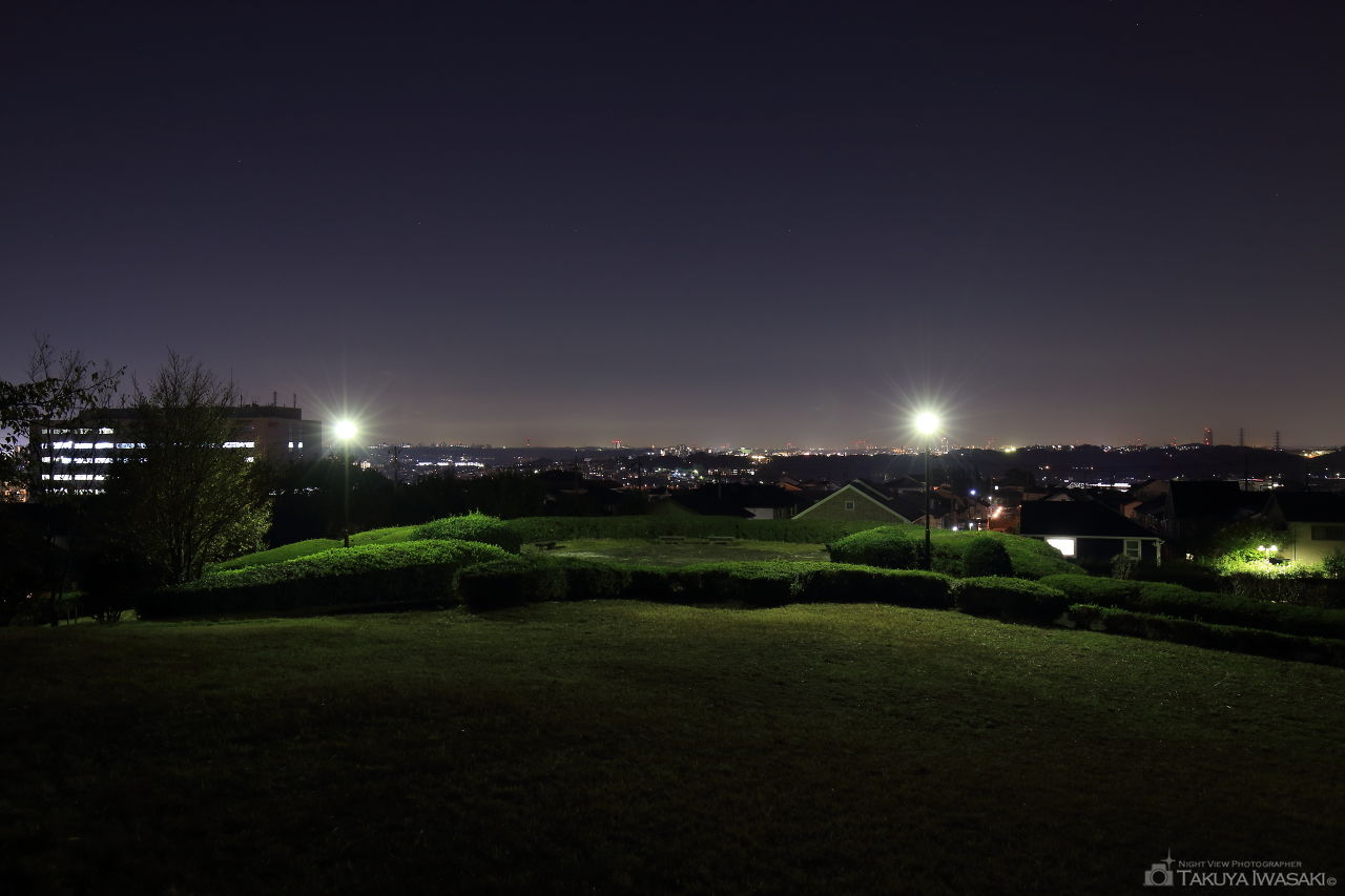 月出松公園の夜景スポット写真（1）