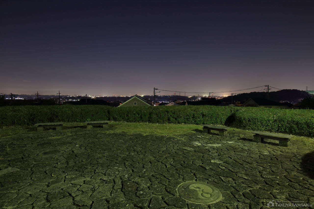 月出松公園の夜景スポット写真（3）