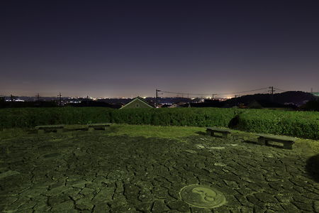 月出松公園の夜景スポット写真（3）class=