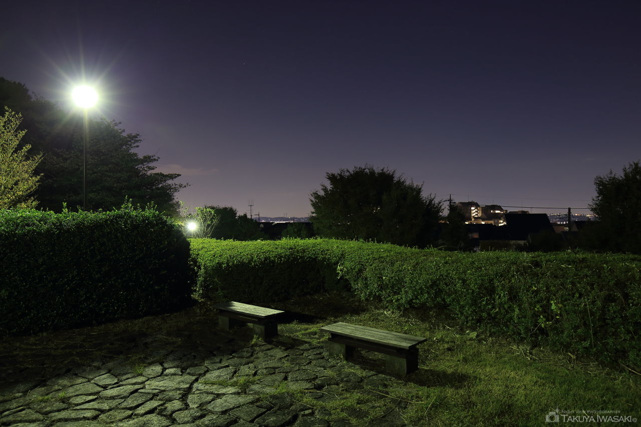 月出松公園の夜景スポット写真（4）