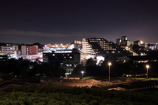 横浜国際プール南緑地の夜景スポット写真（1）class=